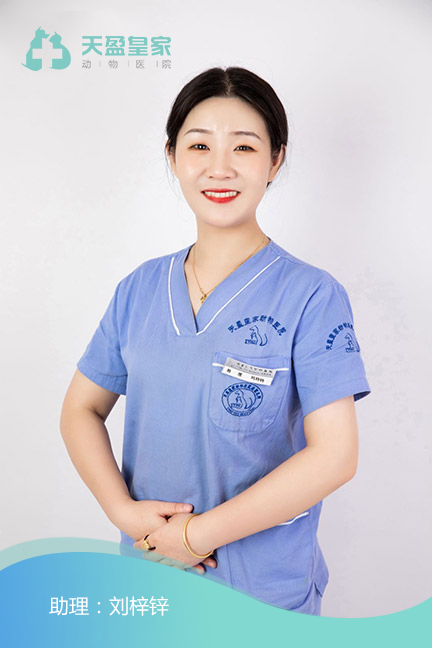 刘梓锌
