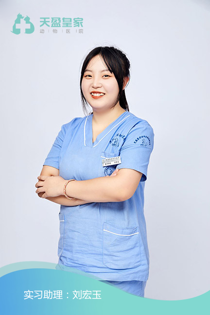 刘宏玉