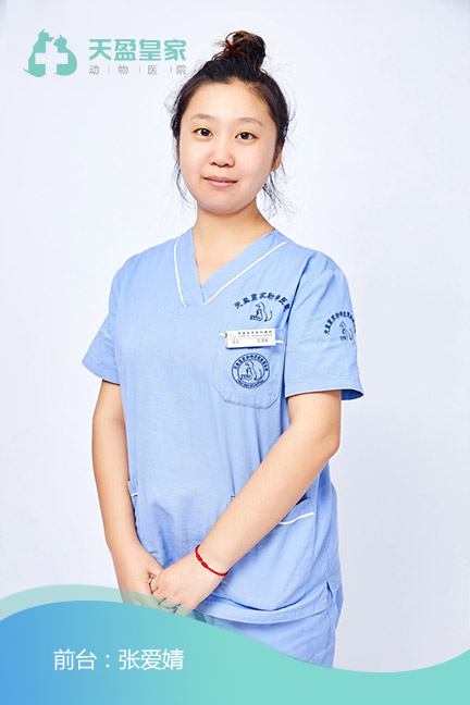 张爱婧