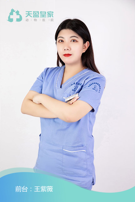 王紫薇