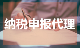 纳税申报代理