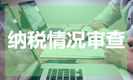 纳税情况审查
