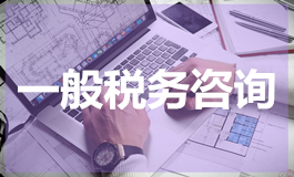 一般税务咨询