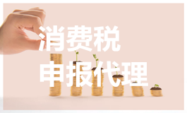 消费税申报代理