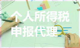 个人所得税申报代理