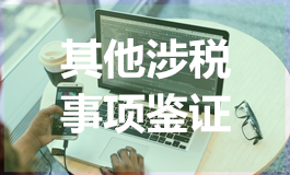 其他涉税事项鉴证