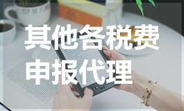 其他各税费申报代理
