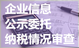 企业信息公示委托纳税情况审查