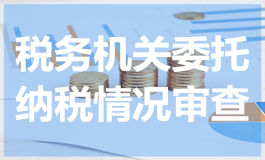 税务机关委托纳税情况审查