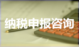 纳税申报咨询