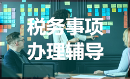 税务事项办理辅导