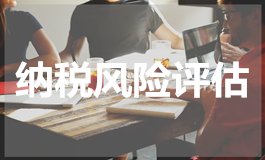 纳税风险评估
