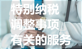 特别纳税调整事项有关的服务