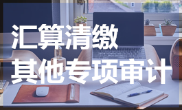 汇算清缴、其他专项审计