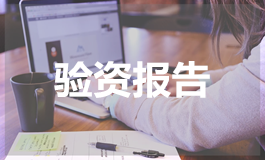 验资报告