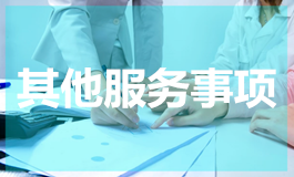 其他服务事项