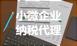 小微企业纳税代理