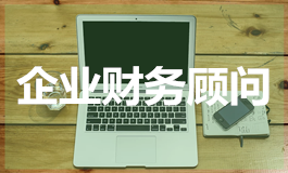 企业财务顾问