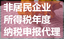 非居民企业所得税年度纳税申报代理