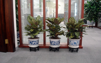 赢在细节（2011年第三季度季报）