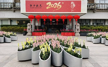 骏马奋蹄奔坦途，天地奏响欢乐鼓（2025年第三、四季度绿化服务简报）