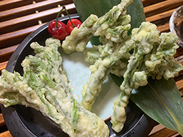 天妇罗刺嫩芽