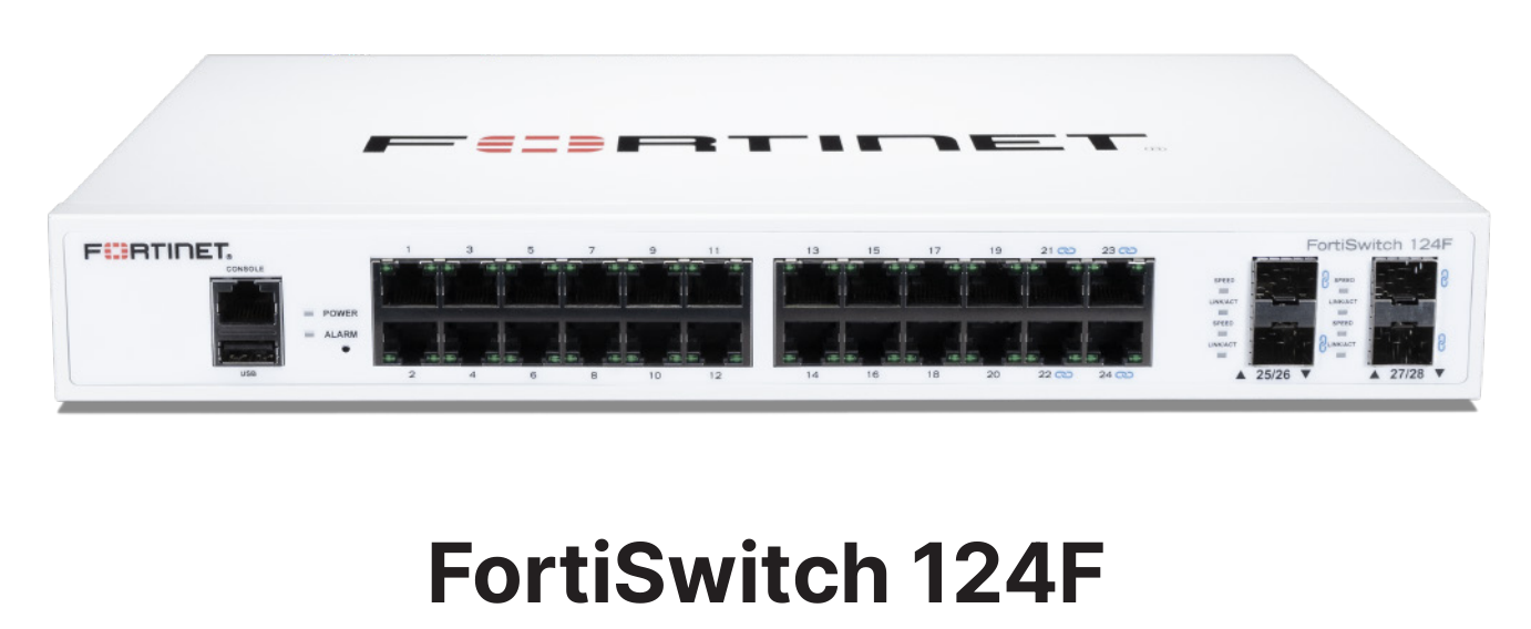 FS-124F飞塔交换机