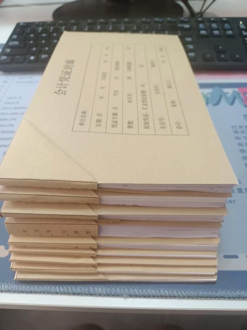 一般纳税人代账报税