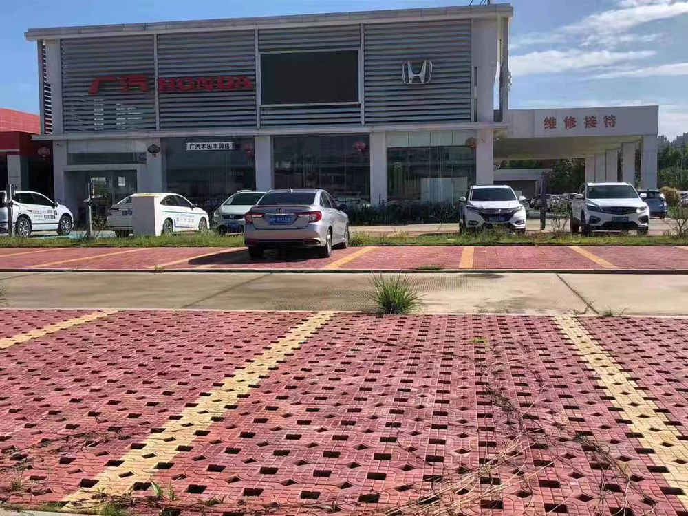 250*250*50-亮面植草磚