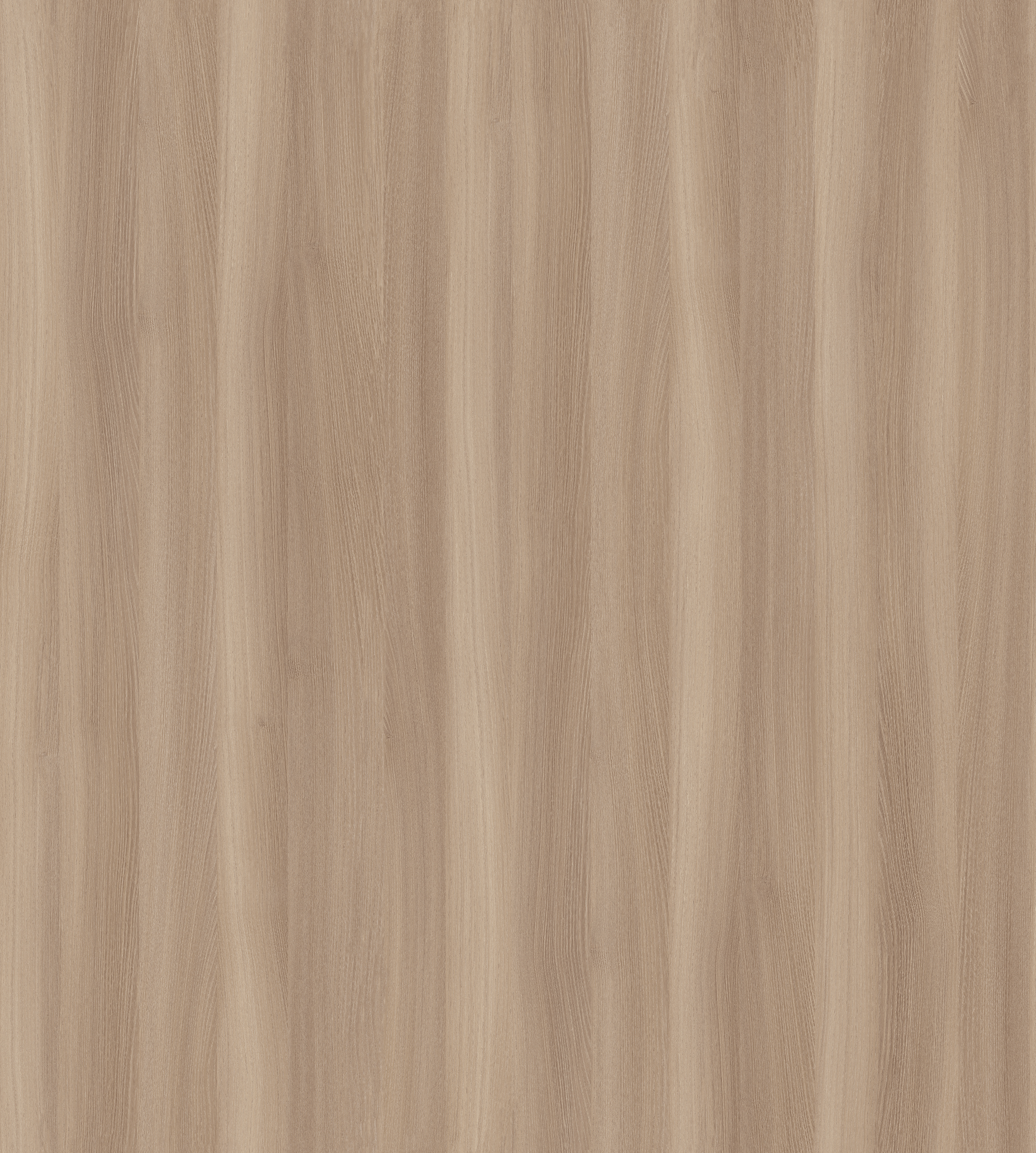 喜优米-乌苏里榆木2