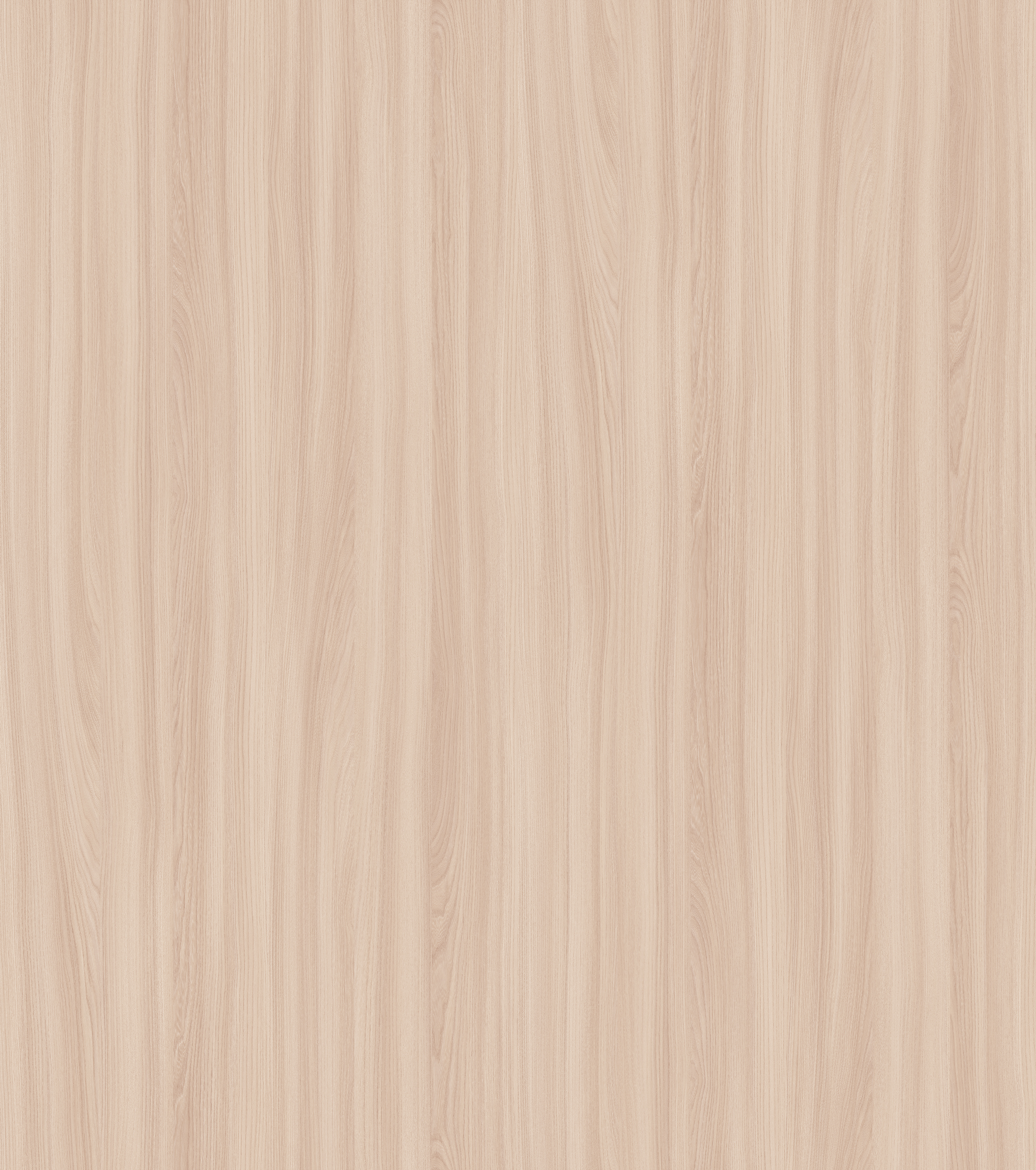 喜优米-小叶寒榆