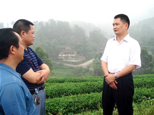  县长曾云忠等一行到公司视察