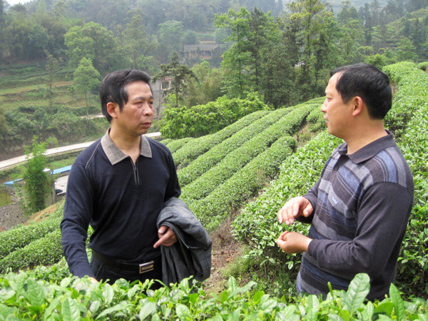 县委副书记倪习才来公司基地视察