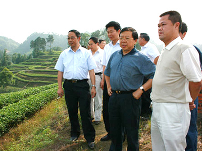 市委书记唐利明来公司基地视察