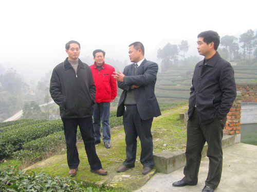  县政协主席张清祥一行到基地视察