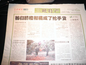 生物科技专家进橘园测土壤