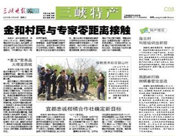 鸦鹊岭打响柑橘春管攻坚战