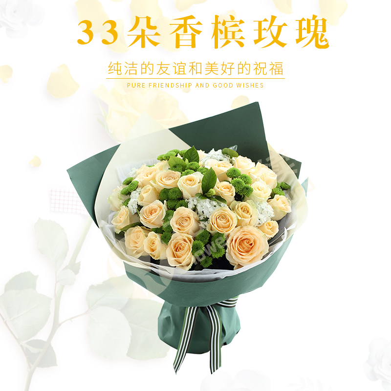 三生三世的深情挚爱------33朵玫瑰