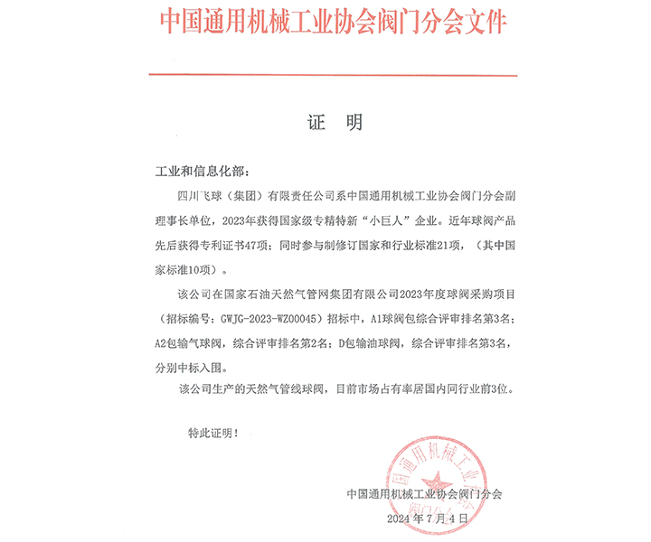 四川飞球  证明