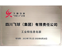专精特新“小巨人”企业