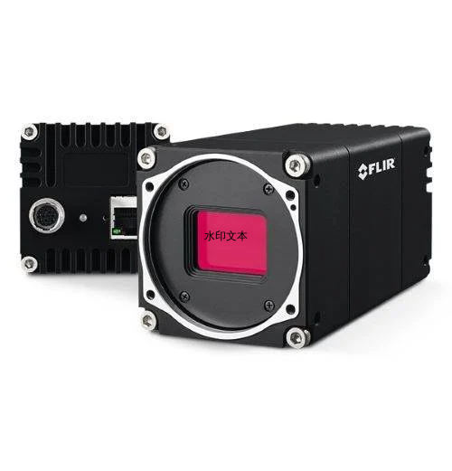 FLIR Oryx® 10GigE 相机