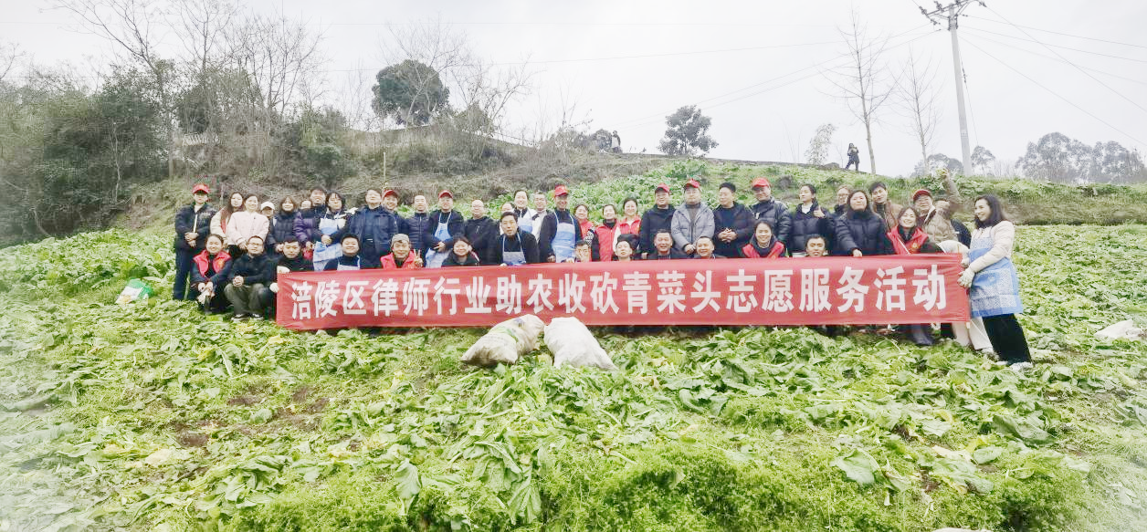 涪陵律师投身农忙一线，法治宣讲同步进村