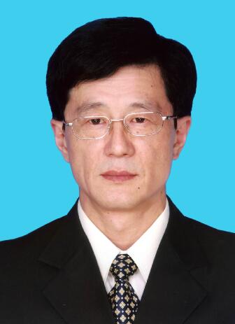 柳龙