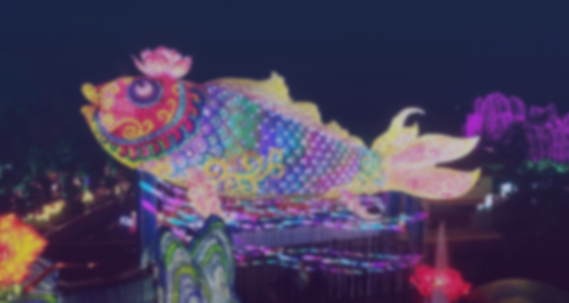 成功案例