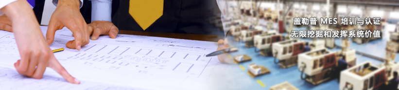 盖勒普MOM培训和认证