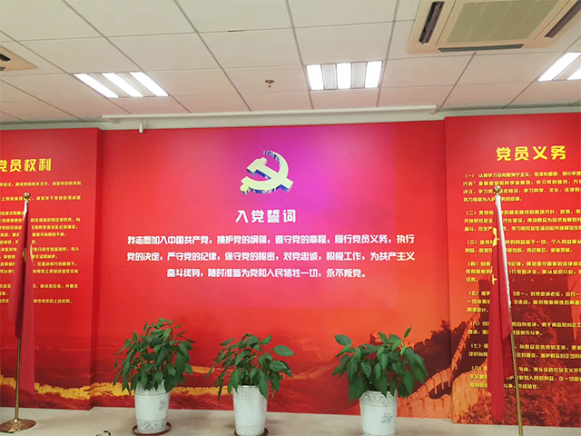党建29