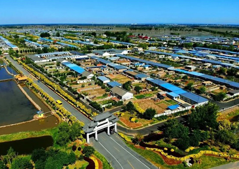 大洼城区强排改造项目