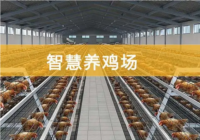 智慧养殖系统