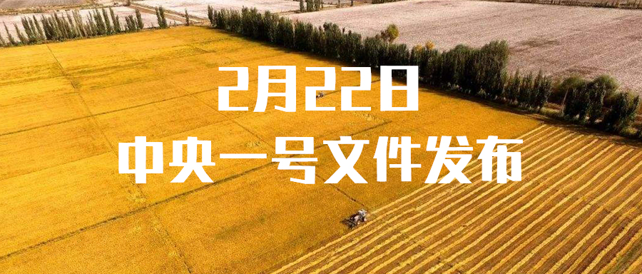 贯彻落实中央一号文件，助力乡村振兴，为农业农村现代化添砖加瓦！