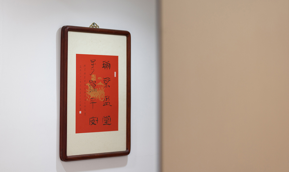 蒂王牛漳州营销中心